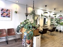 エトワール(etoile)の雰囲気（店内は観葉植物がたくさんあって空気もキレイで癒されますよ♪）
