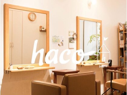 ハコ(haco)の写真