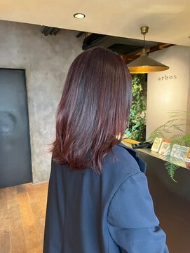 アルボス(arbos) カシスレッドカラー