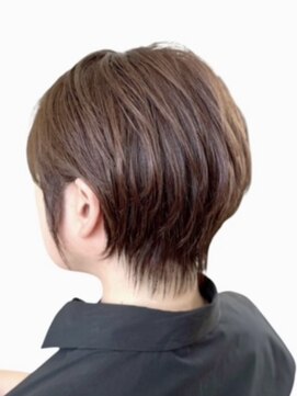 アヴソリューク(Absoluk) 耳掛け丸みショート　30代40代５０代60代　ハンサムショート