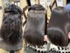 エフスタイル(F-style)の写真/待ち時間ゼロ◎マンツーマン髪質改善でどこよりも丁寧に施術します【今福鶴見駅3分/髪質改善・縮毛矯正】