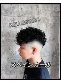 スペインカール