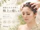 シープ(Sheep)の写真
