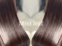 ミントリーフ(Mint leaf)