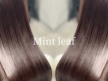 Mint leaf 髪質改善トリートメント&ヘッドスパ特化サロン 【ミントリーフ】