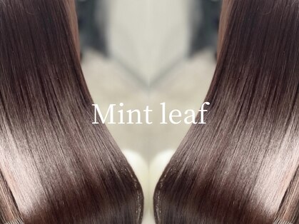 ミントリーフ(Mint leaf)の写真