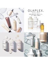 髪の芯から補修し、本来の美しさを引き出す【バイカルテ】、ダメージケア成分を配合した【オラプレックス】