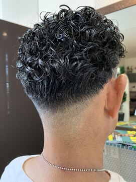 メイン クーン(Maine Coon) 刈り上げP