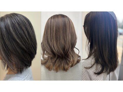 シュシュ(CHOU CHOU)の写真