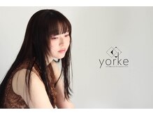 ヨーク(yorke)