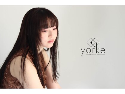 ヨーク(yorke)の写真