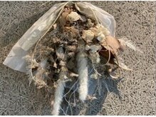 リピータ続出の一番の理由…スタッフの高い技術とホスピタリティ溢れる接客