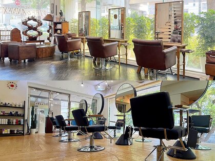 バイブアンドアネックス(VIBE & ANNEX)の写真