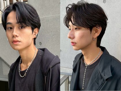 アコロン(acoron.)の写真