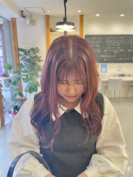スニップミヤコジマ(Snip miyakojima) red color