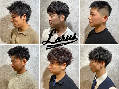 ラルス(Larus)の写真