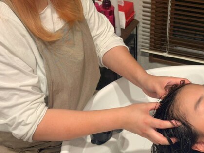 モモ(momo)の写真