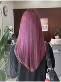ピンクラベンダー