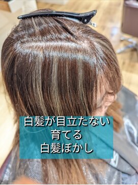 アルス ウィズ アクロス オモテサンドウ(aluss with AKROS omotesando) 育てる白髪ぼかしカラー