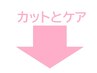 ここから下はカットとケアの組み合わせのコース