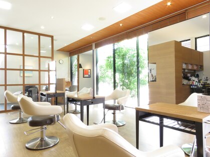 ベルポートヘア(Bellport hair)の写真