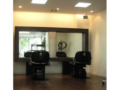 グロウキューブ(grow cube)の写真