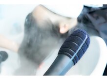 更にナノイオンスチームで入れ込む