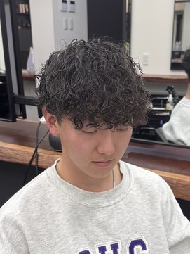 ランディ(RANDY) カーリープードル 【柏/野田/松戸/流山】