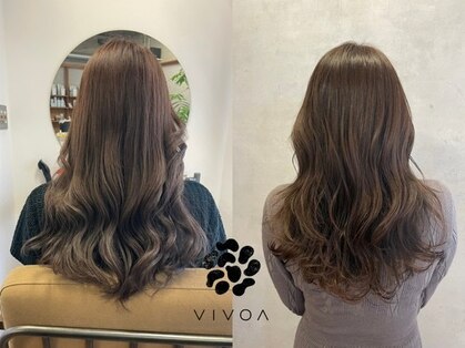 ヴィヴォア(VIVOA)の写真
