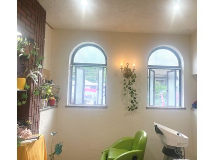 ドクターモモ(Dr.MOMO)の写真