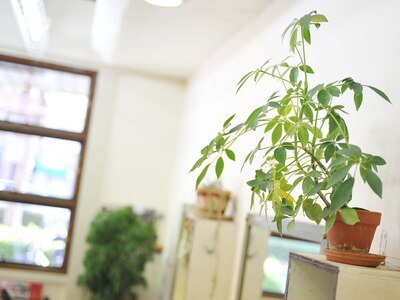 入口にも店内にも緑がたくさん☆