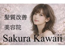 サクラカワイイ(sakura kawaii)