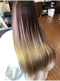 シールエクステメッシュ