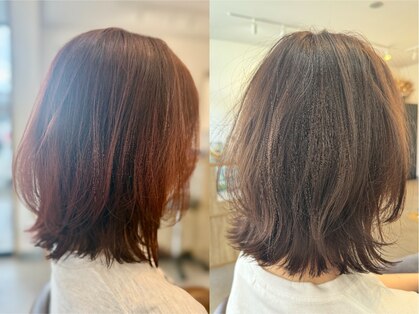 シンミ(SHinmi)の写真