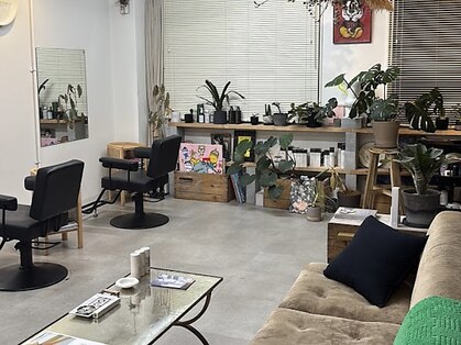 soji 【ソジ】の写真