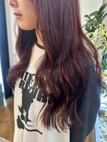 ヤテ(yate')&nbsp;レッド