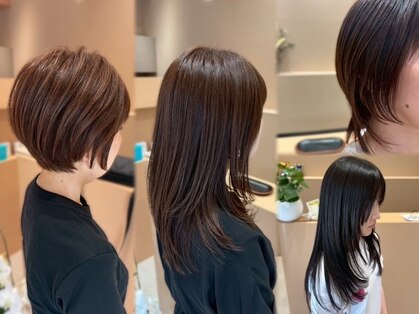 シークカラー(seek color)の写真
