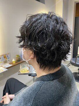 イコール(EquAll) 【シャドウパーマ】大学生