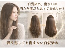 ロアゾブルーミュージアム(L'oiseau Bleu museum)