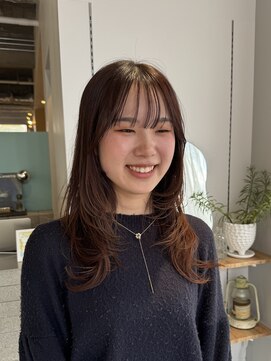 シプレ(cipre) layer cut