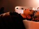 ミラレスカ 栄(MIRA RESCA)の写真/髪質改善ヘッドスパ♪【個室型美容院】眠れるシャンプー台で眠れるヘッドスパを体感して♪イルミナカラー♪