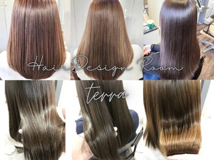 テラ(terra)の写真