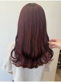 ツヤ感たっぷり！ピンクラベンダー【千葉・千葉駅】