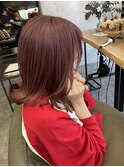 ピンクラベンダー