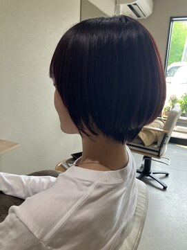 本と南風 guest design