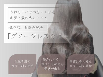 AR HAIR ダメージレスカラー専門店 曳馬店【11月中旬OPEN(予定)】の写真