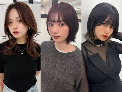 パラオ(Palau)の写真