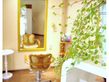 髪質改善専門店　Hair  Leaf　【ヘアー　リーフ】