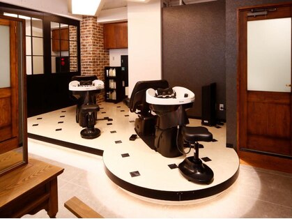 キヴィ(kivi)の写真