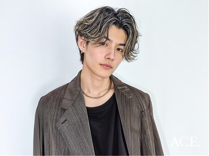 エース(ACE.)の写真